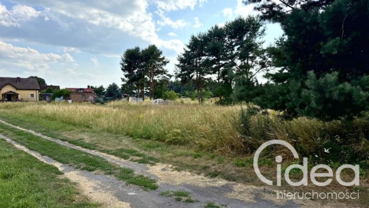 Działka Sprzedaż Modrzewie 5