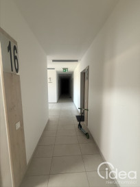 Mieszkanie Wynajem Rajkowo Spokojna