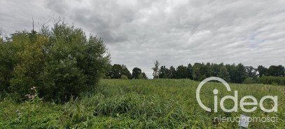 Działka Sprzedaż Stepnica