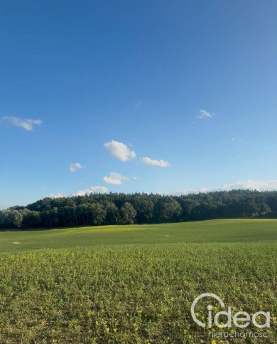 Działka Sprzedaż Buk 1