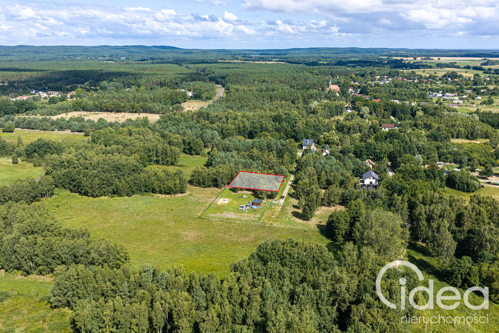 Działka Sprzedaż Ładzin 1