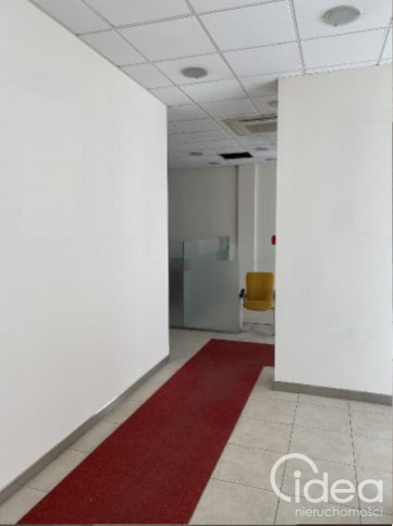 Lokal Wynajem Szczecin Centrum 8