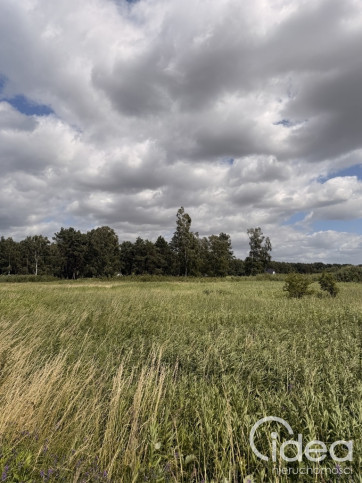 Działka Sprzedaż Niedźwiedź 8