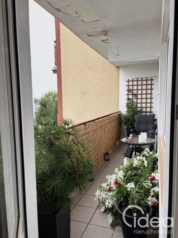 Mieszkanie Sprzedaż Stargard Węgierska 9