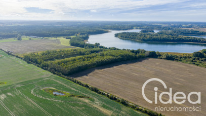 Działka Sprzedaż Wełtyń