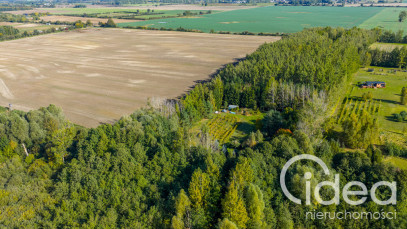 Działka Sprzedaż Wełtyń