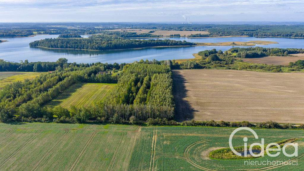 Działka Sprzedaż Wełtyń