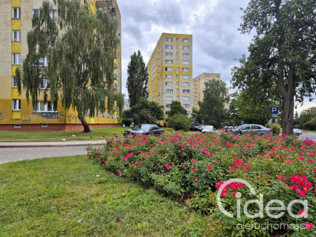 Mieszkanie Sprzedaż Szczecin Świerczewo Hieronima Derdowskiego 7