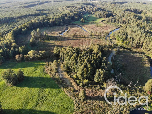 Działka Sprzedaż Goleniów 4