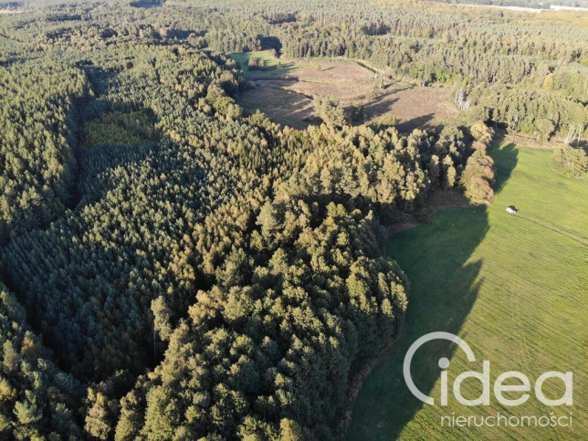 Działka Sprzedaż Goleniów 6