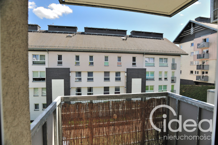 Mieszkanie Wynajem Szczecin Warszewo Belgijska 3
