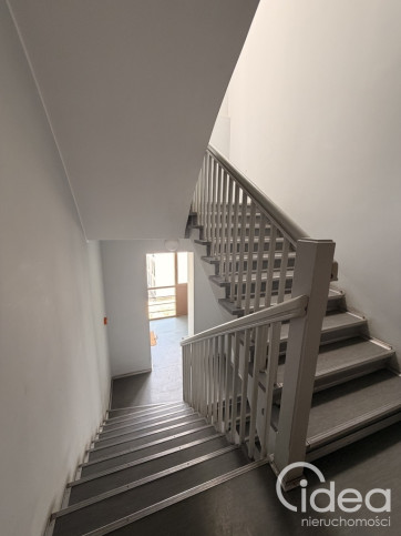 Lokal Wynajem Szczecin Śródmieście-Centrum 16
