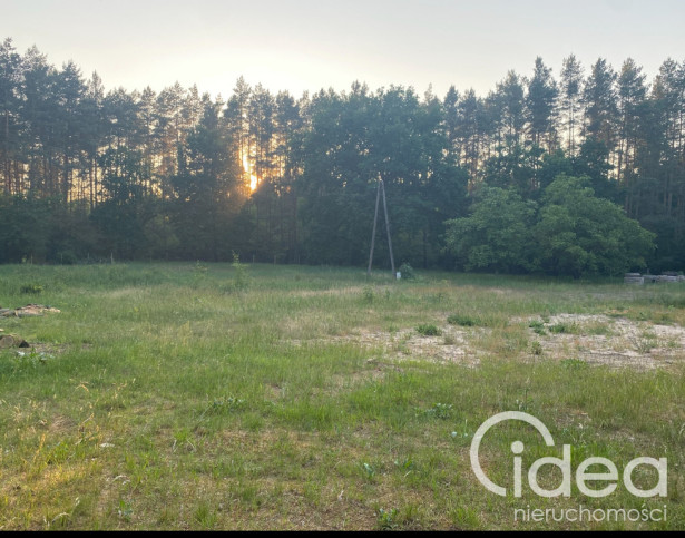 Działka Sprzedaż Trzebież 6