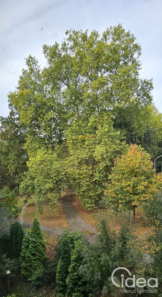 Mieszkanie Sprzedaż Szczecin Niebuszewo Jana Żupańskiego 10