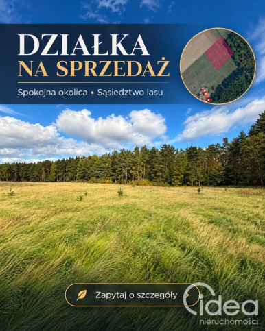 Działka Sprzedaż Drzewica 3