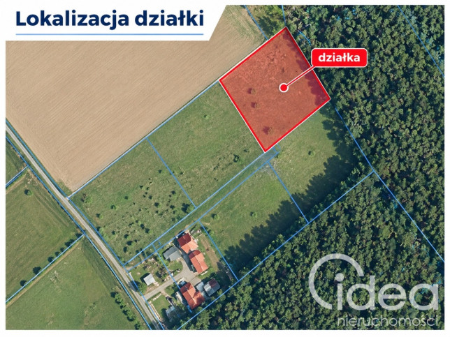 Działka Sprzedaż Drzewica 4