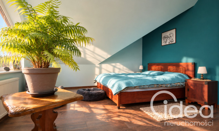 Dom Sprzedaż Brzózki 16