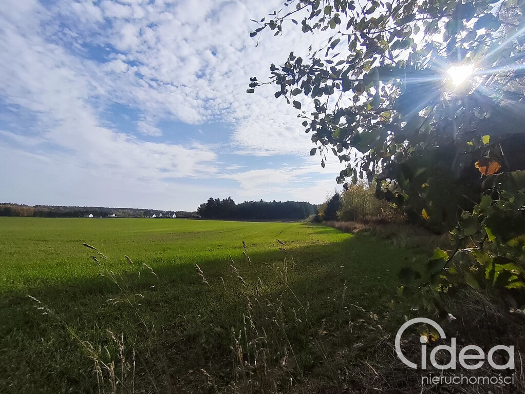 Działka Sprzedaż Grabowo