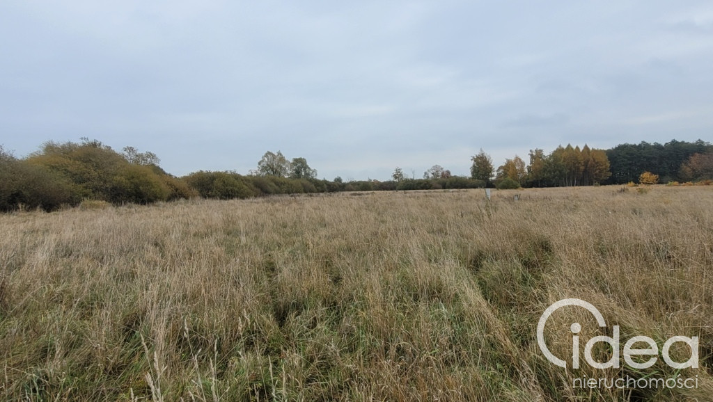 Działka Sprzedaż Żelewo