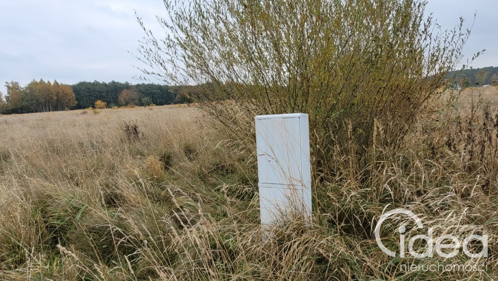 Działka Sprzedaż Żelewo