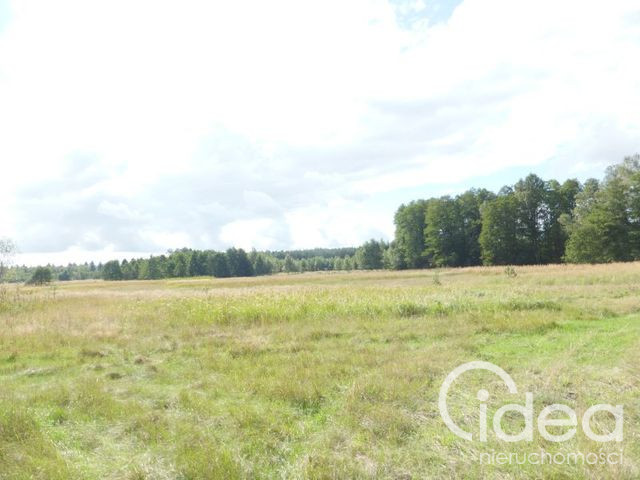 Działka Sprzedaż Grzepnica 1