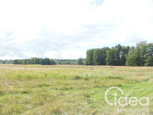 Działka Sprzedaż Grzepnica 3