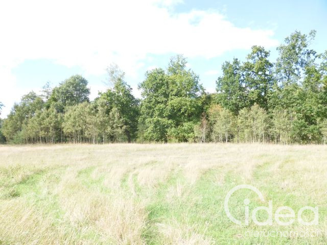 Działka Sprzedaż Grzepnica 4