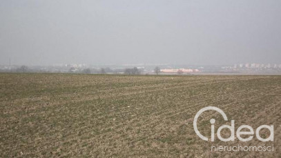 Działka Sprzedaż Siadło Dolne