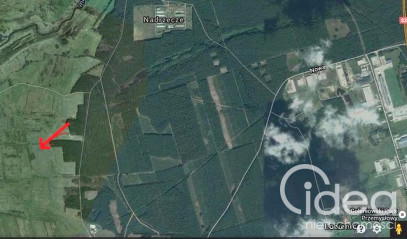 Działka Sprzedaż Komarowo