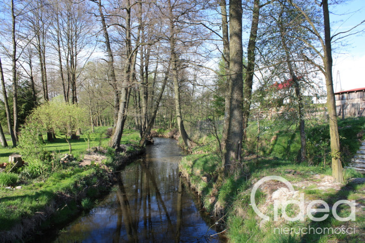 Obiekt Sprzedaż Świdwin 12