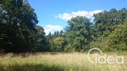 Działka Sprzedaż Radzanek