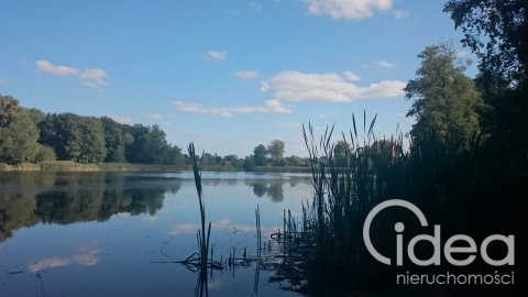 Działka Sprzedaż Radzanek 10