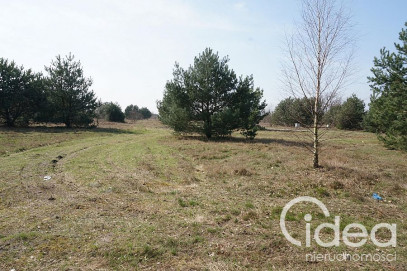 Działka Sprzedaż Rurzyca