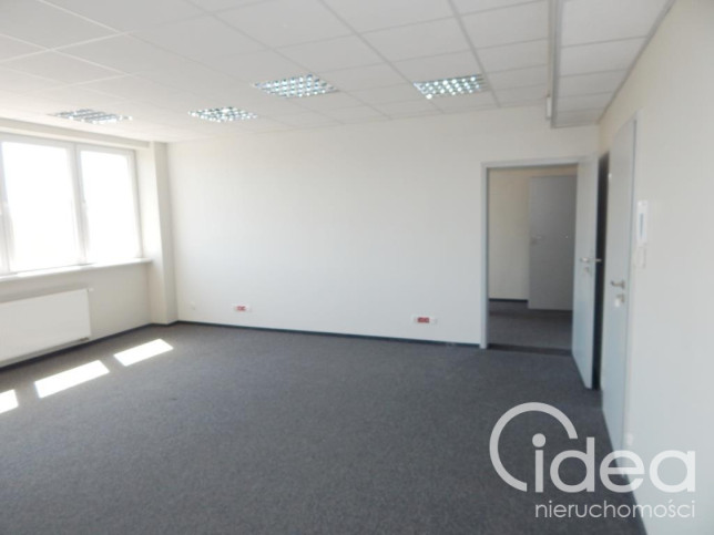 Lokal Wynajem Szczecin Śródmieście 6