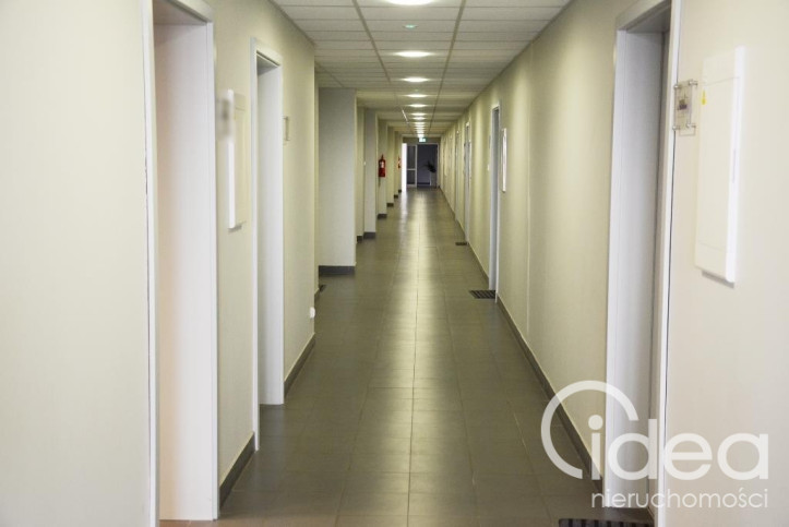 Lokal Wynajem Szczecin Śródmieście 13