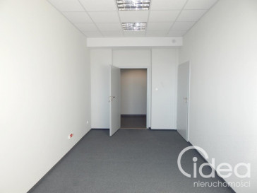 Lokal Wynajem Szczecin Śródmieście