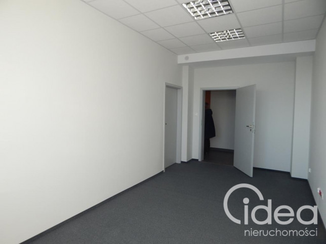 Lokal Wynajem Szczecin Śródmieście 5