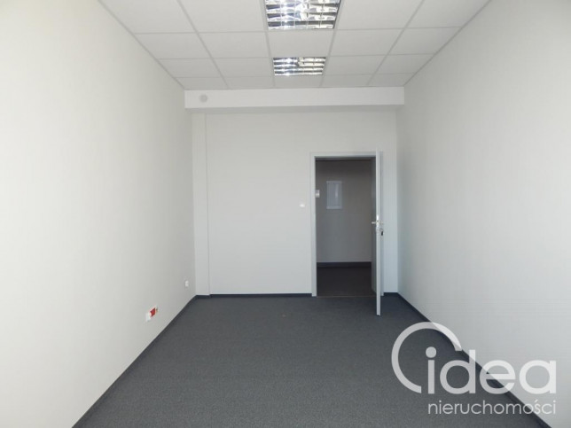 Lokal Wynajem Szczecin Śródmieście 4
