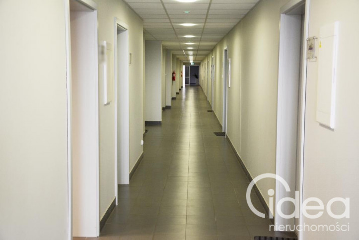 Lokal Wynajem Szczecin Śródmieście 13