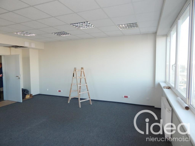 Lokal Wynajem Szczecin Śródmieście 3