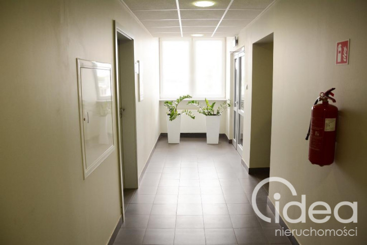 Lokal Wynajem Szczecin Śródmieście 9