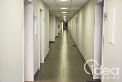 Lokal Wynajem Szczecin Śródmieście