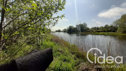 Działka Sprzedaż Mrzeżyno