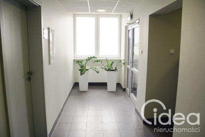 Lokal Wynajem Szczecin Śródmieście