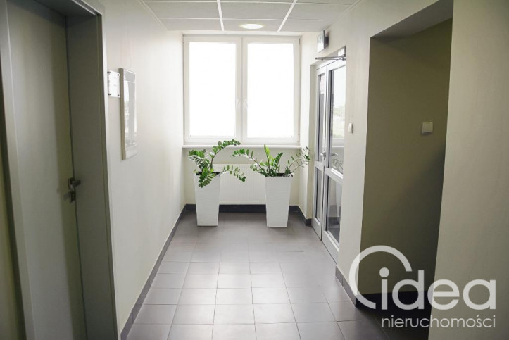Lokal Wynajem Szczecin Śródmieście 6