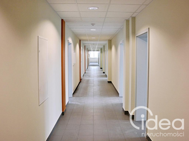 Lokal Wynajem Szczecin Śródmieście 12