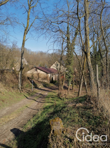 Dom Sprzedaż Stary Kostrzynek 13