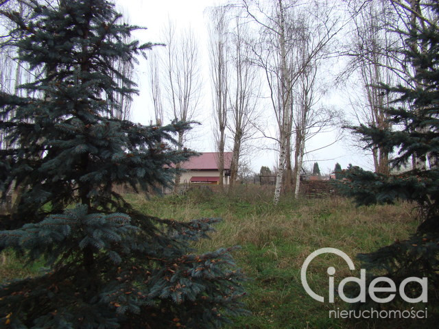Działka Sprzedaż Pniewo 18