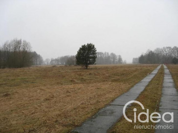 Działka Sprzedaż Stepnica