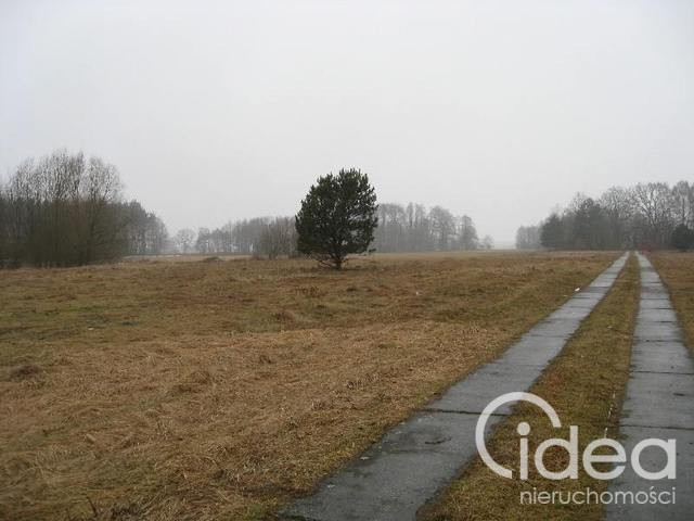 Działka Sprzedaż Stepnica 9